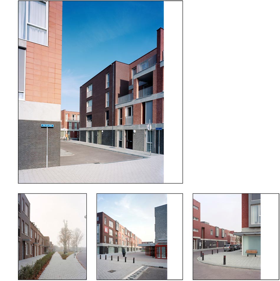 visie